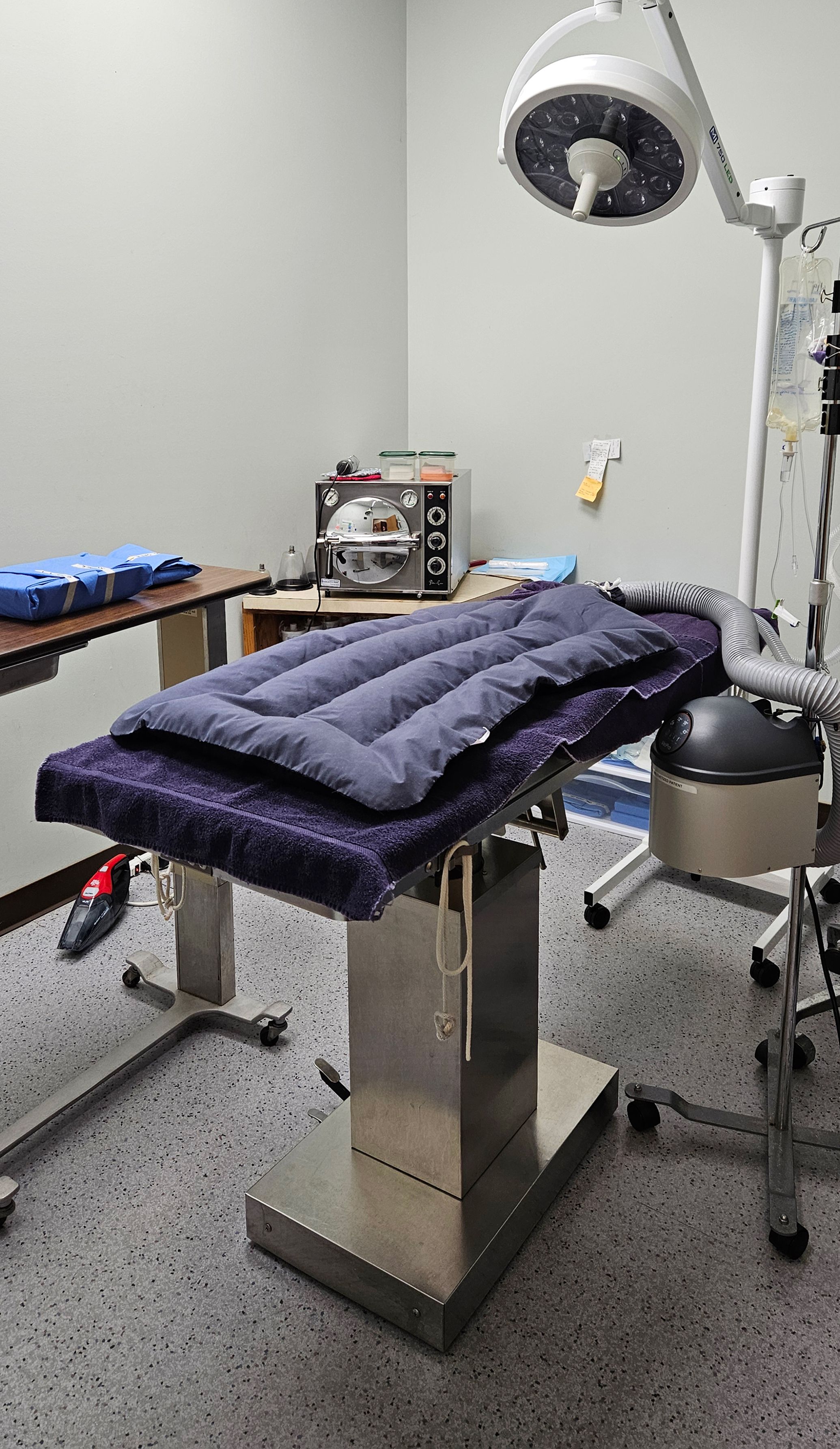 Surgery suite.jpg