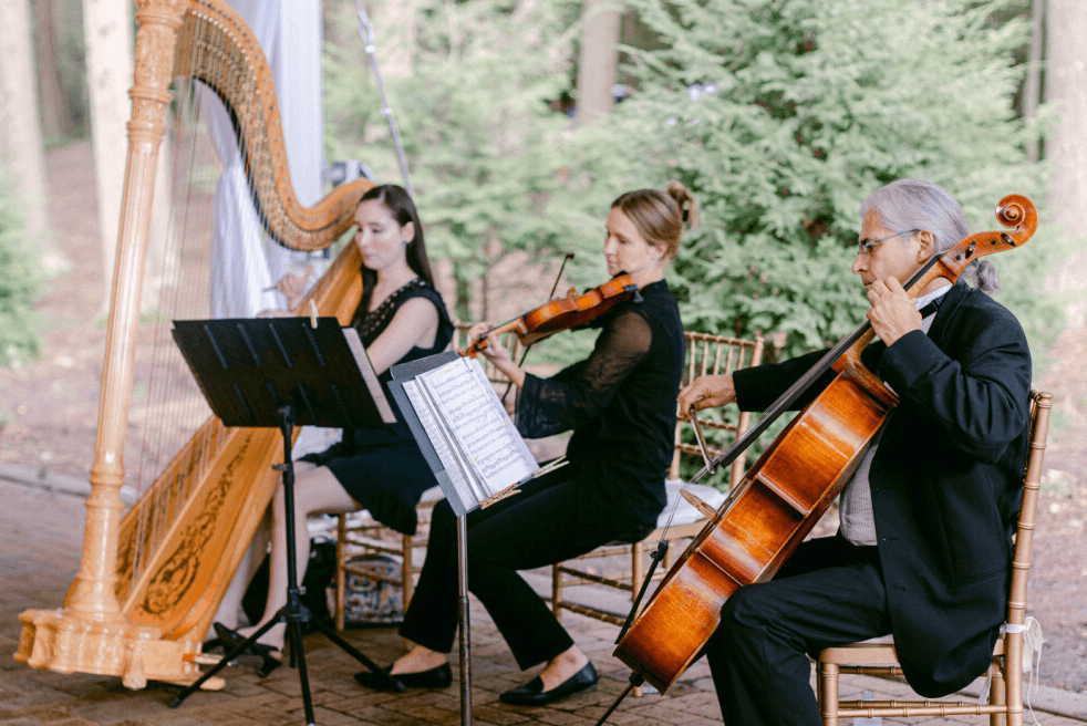 Harp/Violin/Cello String Duo