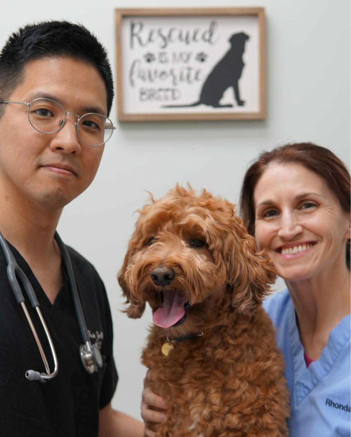 Putting Your Pet at the Center of Our Care. mill_creek_vet_hospital_dog.jpg