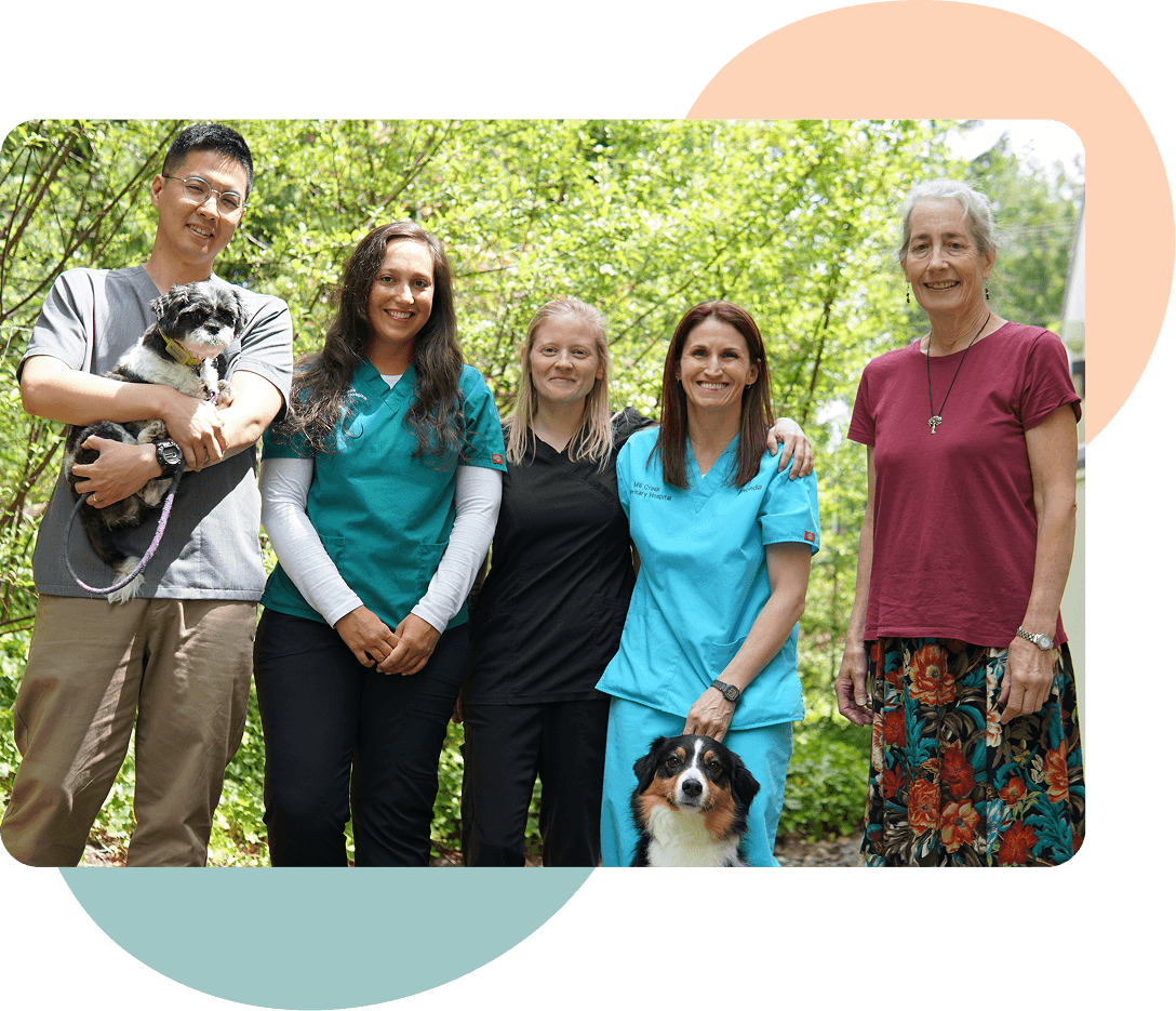 mill_creek_veterinary_hospital_team_photo.png