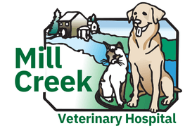 original_logo.png
