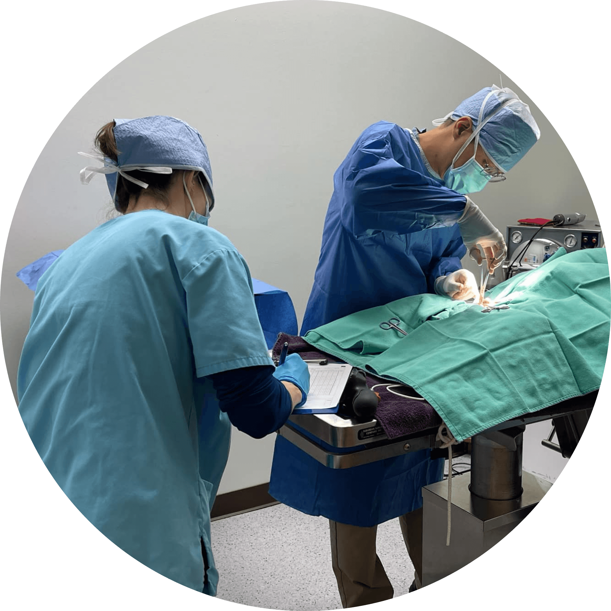 veterinary_team_monitoring_patient.png